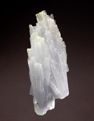 Anhydrite
Naica, Mun. de Saucillo, Chihuahua, Mexico
3.3 x 8.8 cm.
Intersecting fan-shaped groups of pale blue anhydrite crystals with a second generation of smaller crystals on the prism surface. (Author: crosstimber)