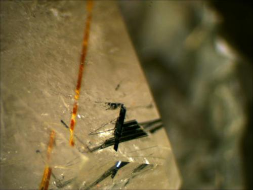 Quartz (smoky), Astrophyllite and Aegirine
Zhagi Mountain, Pakistan (Author: Mark Ost)