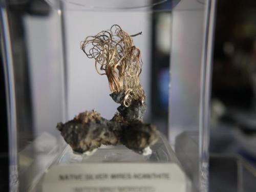 Silver wires with Acanthite
Imiter Mine, Ouarzazate Province, Morocco
4.7 x 3.6 x 2.9 cm (Author: Don Lum)