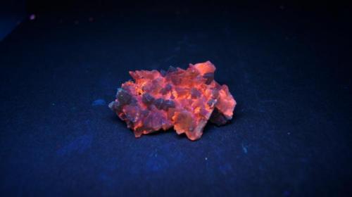 Calcita - Fluorescente
Chihuahua, Mejico.
62 x 49 mm
Luz UV onda corta. (Autor: Daniel C.M.)