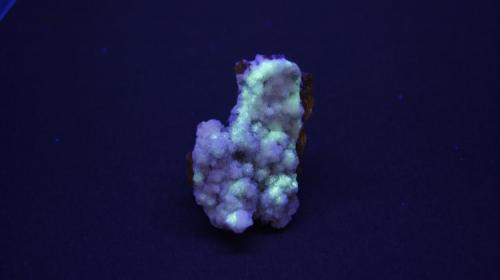 Calcita, Estroncianita - Fluorescente
Montevives, Alhendín, Granada, Andalucía, España.
6 x 5 x 4 cm
Luz UV onda larga. (Autor: Daniel C.M.)