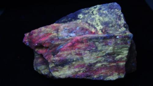 Scheelita, Aragonito, Chrondrodita, Hidrozincita, Calcita y Smithsonita - Fluorescente
White Elephant Mine, Desierto de Mojave, California, USA.
62 x 90 x 41 mm
Lámpara UV onda corta con filtro
Aragonito: blanco y fosforescente
Calcita: rojo con rojo flash
Chondrodita: medio amarillo (masivo)
Diópsido: azul / blanco (intenso)
Ópalo variedad hyalita: verde
Hidrozincita: azul / gris blanco (suave)
Powellita: brillantes cristales amarillos alrededor de / cerca de la Scheelita
Scheelita: blanco brillante
Smithsonita: rosa / lila
Hay una respuesta amarillo fosforescente de un mineral aún no identificado y que no está presente en todas las muestras. (Autor: Daniel C.M.)