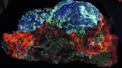 Calcita, Willemita, Fluorita, Aragonito - Fluorescente
Purple Passion Mine, Red Picacho District, Wickenburg, Yavapai Co., Arizona, USA.
130 x 60 x 45 mm
Lámpara UV onda corta

Calcita: rojo
Willemita: verde y blanco (fosforescente verde)
Fluorita: azul profundo
Aragonito: blanco (blanco fosforescente) (Autor: Daniel C.M.)