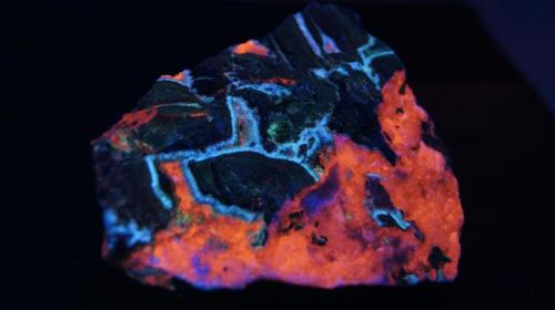 Aragonito, Willemita, Calcita, Esfalerita, Hedyphana, Hidrozincita y desconocidos - Fluorescente
Puttapa, mina de zinc que forma parte del complejo Beltana, al lado de la mina de zinc Aroona, Australia.
68 x 58 x 35 mm
Luz UV onda corta. (Autor: Daniel C.M.)