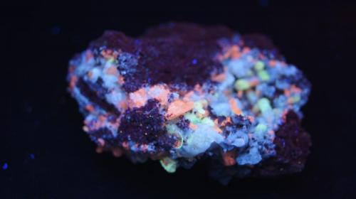 Apatito, Calcita, Hematites - Fluorescente
La Celia, Jumilla, Murcia, España.
56 x 45 x 30 mm
Luz UV onda corta. (Autor: Daniel C.M.)