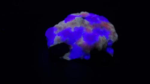 Alabandita, calcita y fluorita - Fluorescente
Mina Uchucchacua, Oyon, Departamento de Lima, Perú.
Matriz 45 x 41 x18 mm - 11mm
Luz UV onda corta. (Autor: Daniel C.M.)