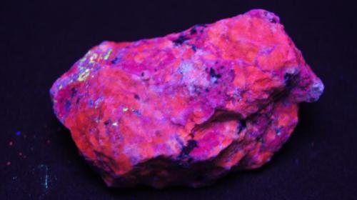 Sodalita - Fluorescente
Poudrette Quarry, Mont St-Hilaire, Quebec, Canada.
80 x 62 mm
Luz UV onda corta.
Es la misma pieza  que subí el otro día pero se me paso esta foto con este tipo de onda. (Autor: Daniel C.M.)