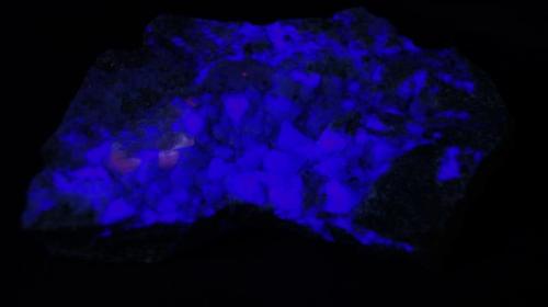 Fluorita - Fluorescente
Cantera Berta, Serra de Roques Blanques, El Papiol / Sant Cugat (Barcelona),Catalunya, España.
12 x 9 cm
Luz UV onda corta (Autor: Daniel C.M.)