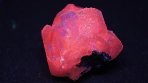Calcita, Pirita - Fluorescente
Chihuahua, Mejico.
5 x 4 x 4 cm

Luz UV onda larga. (Autor: Daniel C.M.)