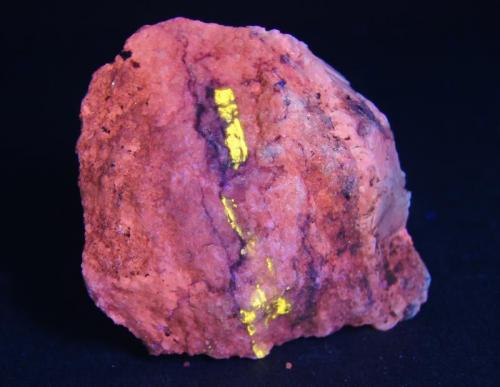 Calcita y wollastonita - Fluorescente
White Knob Quarry, Lucerne Valley Limestone District, San Bernardino Co., California, USA
9 x 7 cm
Luz UV onda corta. (Autor: Daniel C.M.)