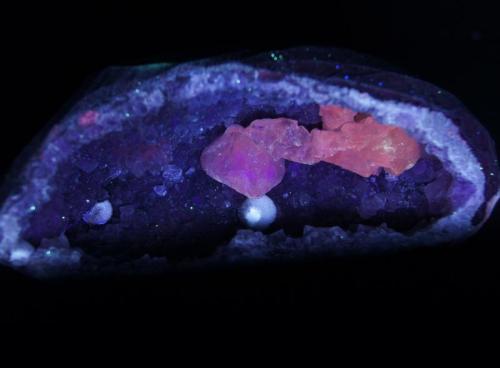 Calcita y Okenita en Cuarzo amatista - Fluorescente
Pune, Maharahstra, India.
13 x 7 x 5 cm
Luz UV onda corta (Autor: Daniel C.M.)