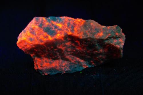 Flogopita - Fluorescente
Langban, Suecia
65 x 40 x 18 mm
Bajo luz ultravioleta de onda corta (256 nm aprox.). La Flogopita da un color rojo anaranjado. (Autor: Juan María Pérez)