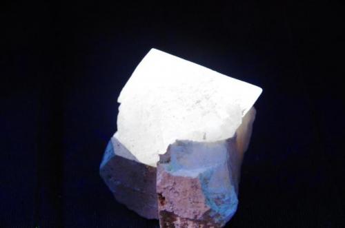Powellita - Fluorescente
Nasik, India
53 x 49 x 43 mm (el cristal tiene 31 mm de arista)
Bajo luz ultravioleta de onda corta (256 nm aprox.). La Powellita da un color blanco amarillento intenso. (Autor: Juan María Pérez)