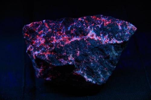 Baritocalcita - Fluorescente
Langban, Suecia
75 x 50 x 30 mm
Bajo luz ultravioleta de onda corta (256 nm aprox.) (Autor: Juan María Pérez)