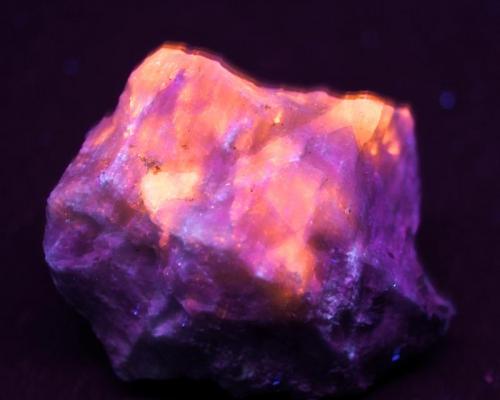 Sodalita (variedad hackmanita) - Fluorescente
Davis quarry, Bancroft, Ontario, Canada.
6 x 4 cm
UV onda larga. (Autor: Daniel C.M.)