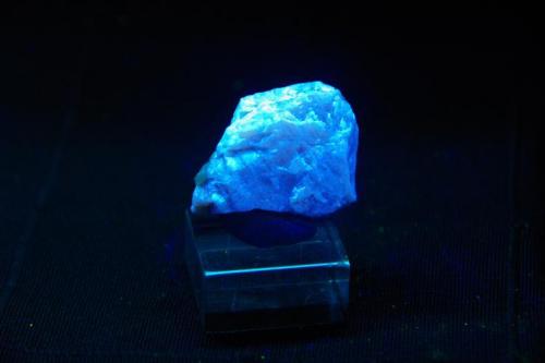 Scheelita - Fluorescente
EEUU
26 x 2 3x 14 mm (Autor: Juan María Pérez)