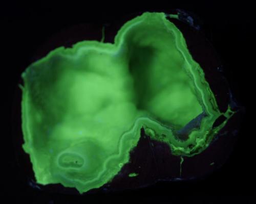 Cuarzo var. Ágata y calcedonia - Fluorescente
Dugway Geode Camas, Zona Dugway Pass, Juab Co. , Utah , EE.UU.
68 x 52 x 40 mm
Luz UV onda corta. (Autor: Daniel C.M.)