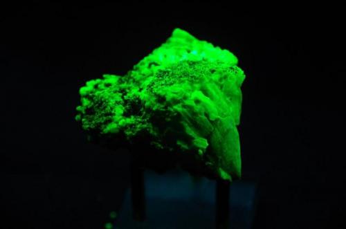 Willemita - Fluorescente
cerca de Lusaka, Zambia
50x40x32 mm
Luz UV onda corta.
Willemita es verde. (Autor: Juan María Pérez)