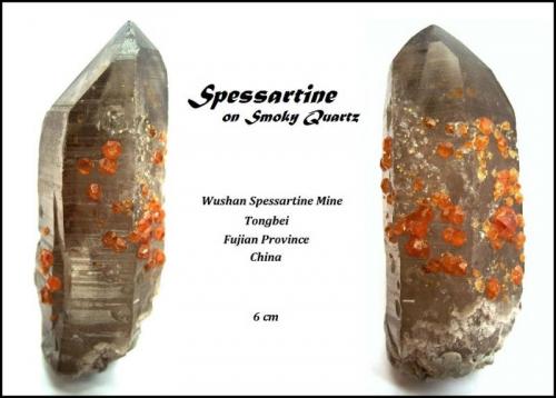 Spessartine on smoky quartz
Wushan Spessartine Mine, Tongbei, Fujian Province, China
Specimen height 6 cm (Author: Tobi)