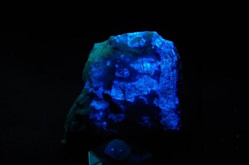 Scheelita con Cuarzo - Fluorescente
Standard Mining & Milling Company Mine, Grass Valley, Nevada Co, California, EEUU
74 x 54 x 38 mm
Luz UV onda corta.
Scheelita es azul. (Autor: Juan María Pérez)