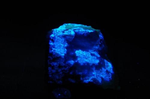 Scheelita con Cuarzo - Fluorescente
Standard Mining & Milling Company Mine, Grass Valley, Nevada Co, California, EEUU
74 x 54 x 38 mm
Luz UV onda corta.
Scheelita es azul. (Autor: Juan María Pérez)