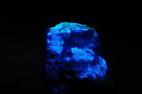 Scheelita con Cuarzo - Fluorescente
Standard Mining & Milling Company Mine, Grass Valley, Nevada Co, California, EEUU
74 x 54 x 38 mm
Luz UV onda corta.
Scheelita es azul. (Autor: Juan María Pérez)