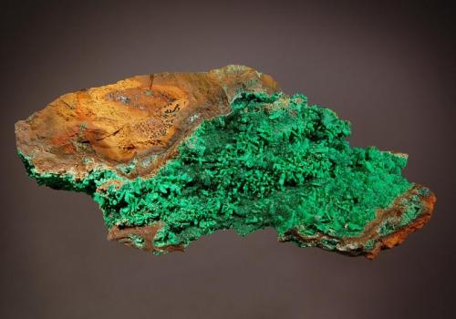 Conichalcite ps. hemimorphite
Ojuela Mine, Mapimi, Durango, Mexico
5.3 x 11.5 cm.
Bright green conichalcite replacing radiating groups of hemimorphite on typical brown gossan matrix. (Author: crosstimber)