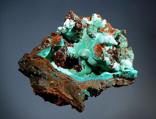 Rosasite
Ojuela Mine, Mapimi, Durango, Mexico
7.2 x 8.6 cm.
Velvety blue-green rosasite lining a cavity in typical brown gossan matrix. (Author: crosstimber)