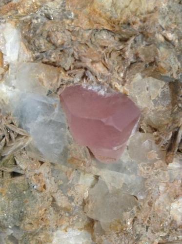 Fluorapatite, aquamarine and muscovite
Shigar Valley, Gilgit, Pakistan
1.9 cm (Author: Mark Ost)