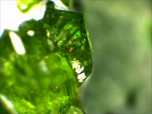 Garnet Group, Andradite, Demantoid
Jeffery Quarry, BGS Asbestos, Canada
6.35mm
 (Author: Mark Ost)