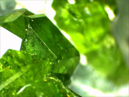 Garnet Group, Andradite, Demantoid
Jeffery Quarry, BGS Asbestos, Canada
12mm
 (Author: Mark Ost)