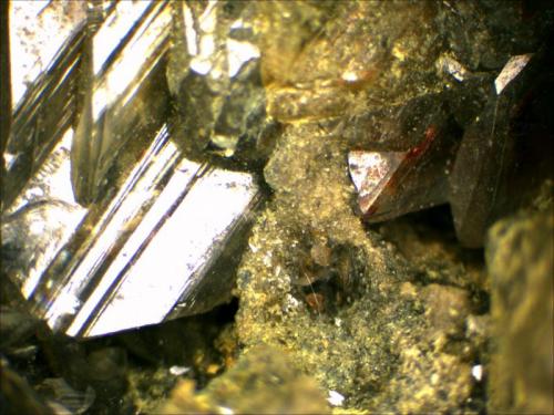 Anglesite
Monteponi Mine, Cagliari, Sardegna, Italy
25 x 4 mm (Author: Mark Ost)