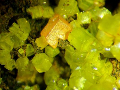 Wulfenita y Piromorfita.
Mina Luis (filón norte), Minas del General, Cabezarrubias del Puerto, Ciudad Real, Castilla La Mancha.
Cristal de 1 mm.
Col. y foto Nacho Gaspar. (Autor: Nacho)