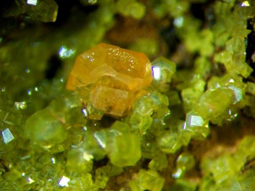 Wulfenita y Piromorfita.
Mina Luis (filón norte), Minas del General, Cabezarrubias del Puerto, Ciudad Real, Castilla La Mancha.
Cristal de 1,5 mm.
Col. y foto Nacho Gaspar. (Autor: Nacho)