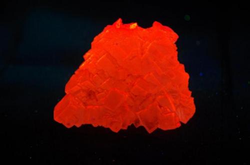 Halita - Fluorescente
Salton Sea, Imperial Co, California, EEUU
77 x 60 x 48 mm
Luz UV onda corta.
Halita es de rosa-naranja-rojo. (Autor: Juan María Pérez)