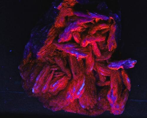 Barita con recristalización de Calcita - Fluorescente.
El Conjuro, Busquistar, Granada, Andalucía, España.
82 x 61 x 35 mm
Luz UV onda corta. (Autor: Daniel C.M.)