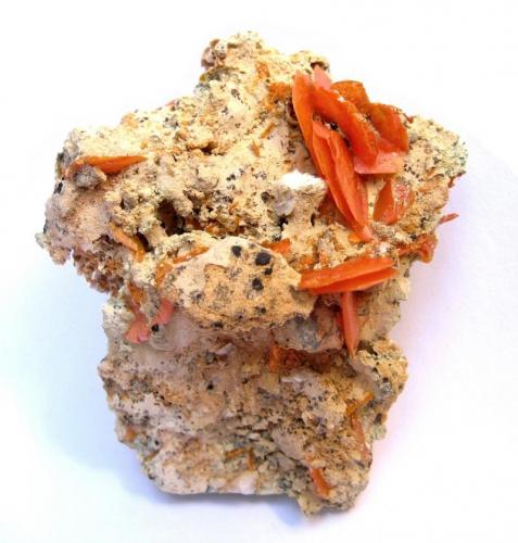 Wulfenite
Mibladen Mining District, Midelt, Khénifra Province, Meknès-Tafilalet Region, Morocco
Specimen height 5 cm (Author: Tobi)