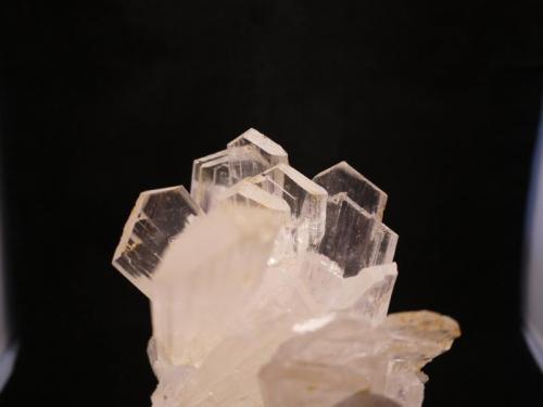 Gypsum
Naica, Chihuahua, Mexico
20 x 10 x 13.5 cm (Author: Don Lum)