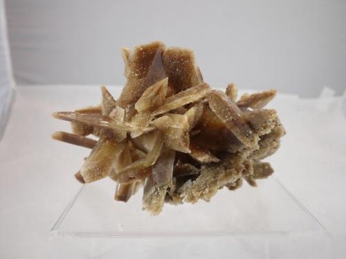 Gypsum
Jet, Oklahoma, USA
14.5 x 10 x 9 cm (Author: Don Lum)