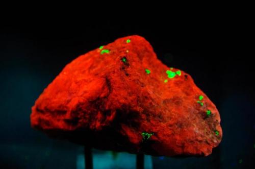 Calcita con Willemita - Fluorescente
Franklin, Sussex Co, New Jersey, EEUU
90 x 55 x 47 mm
Luz UV onda corta
Calcita es rojo naranja
Willemita es verde.
La misma pieza anterior vista por su reverso. (Autor: Juan María Pérez)