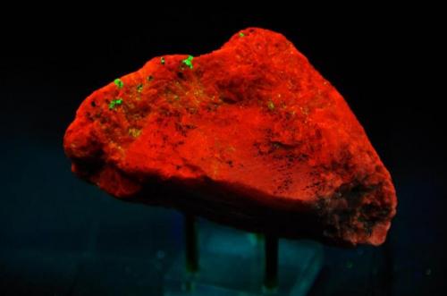 Calcita con Willemita - Fluorescente
Franklin, Sussex Co, New Jersey, EEUU
90 x 55 x 47 mm
Luz UV onda corta
Calcita es rojo naranja
Willemita es verde (Autor: Juan María Pérez)