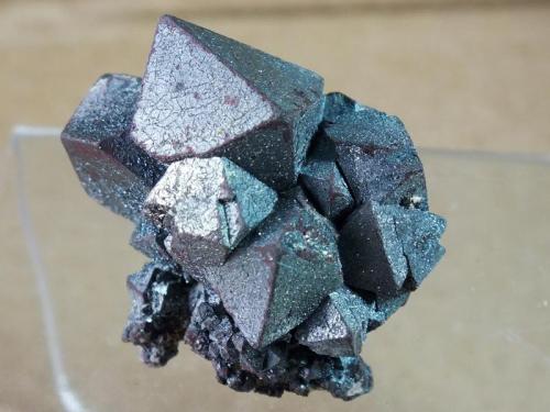 Hematite
Volcán Payún Matrú, Malargüe, Mendoza, Argentina
3,5 x 3 cm
Hematite Pseudomórfico de Magnetita (Variedad Martita) (Autor: molsina)