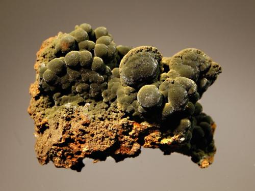 Mottramite
Ojuela Mine, Level 35, Mapimi, Durango, Mexico
3.8 x 5.2 cm.
Dark green, botryoidal mottramite on limonitic matrix from the find in 2011. (Author: crosstimber)