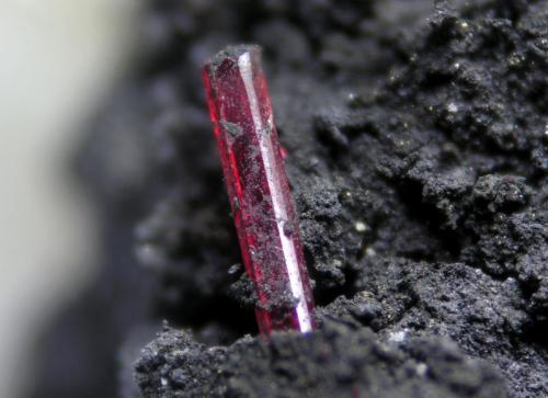 Proustite
Las Cruces mine, Gerena, Seville, Andalusia, Spain
crystal 1 cm
centimetric crystal in pulverulent galena. (Author: Cesar M. Salvan)