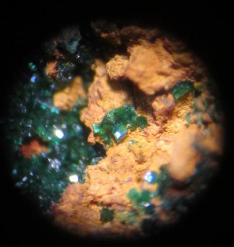 Malaquita.<br />Atrevida Mine, Vimbodí i Poblet, Comarca Conca de Barberà, Tarragona, Catalonia / Catalunya, Spain<br />Campo de visión de unos 3 mm. aprox.<br /> (Autor: Carles Rubio)