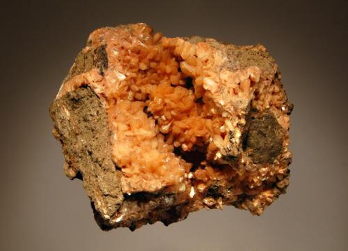 Stilbite
Partridge Island, Cumberland Co., Nova Scotia, Canada
7.2 x 8.0 cm.
Brownish-orange stilbite crystals lining a cavity in weathered brown basalt. (Author: crosstimber)