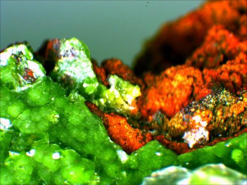 Duftite and Calcite on a Limonite Matrix
Mina Ojuela, Mapimí, Durango, Mexico
12 cm x 9.5 cm x 2.5 cm (Author: Mark Ost)