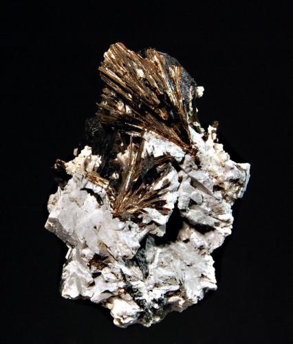Astrophyllite
Poudrette Quarry, Mont Saint-Hilaire, Monteregie, Quebec, Canada
4.0 x 5.3 cm.
Fan-shaped groups of acicular bronze-brown astrophyllite crystals in association with black aegirine and gray albite. (Author: crosstimber)