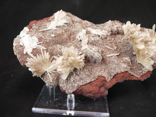 Hemimorphite, Hydrozincite 
Santa Eulalia, Mexico
20 x 12 x 6 cm

With Limonite (Author: Don Lum)