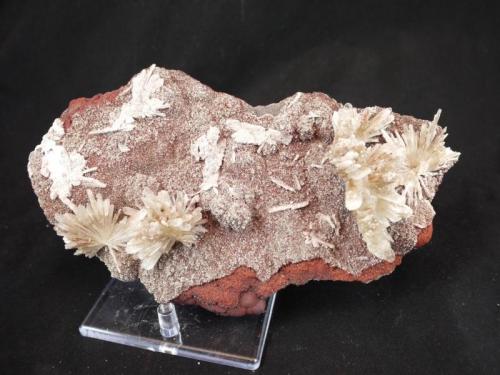 Hemimorphite, Hydrozincite
Santa Eulalia, Mexico
20 x 12 x 6 cm

With Limonite (Author: Don Lum)